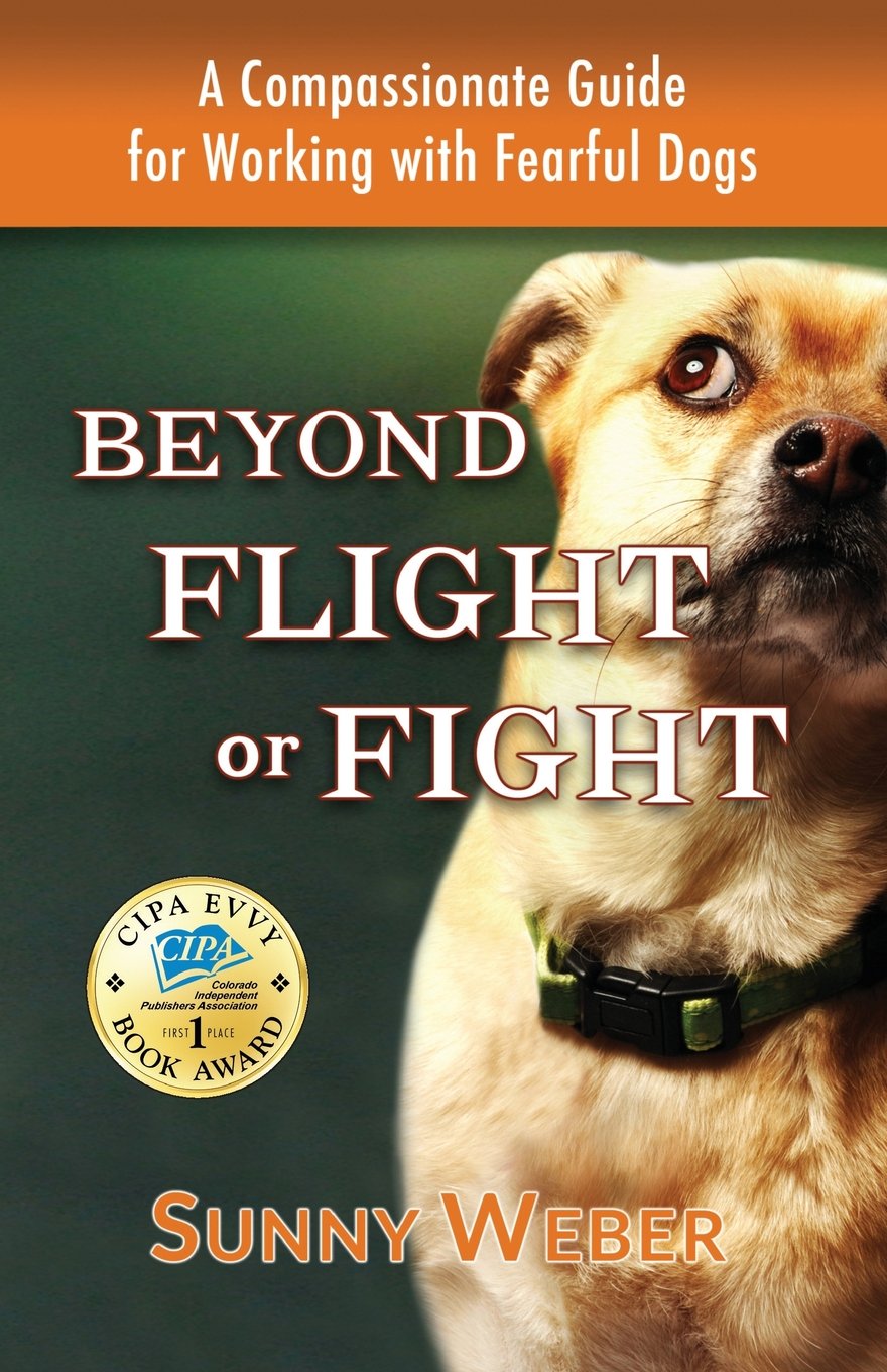 BEYOND FLIGHT OR FRIGHT by Sunny Weber