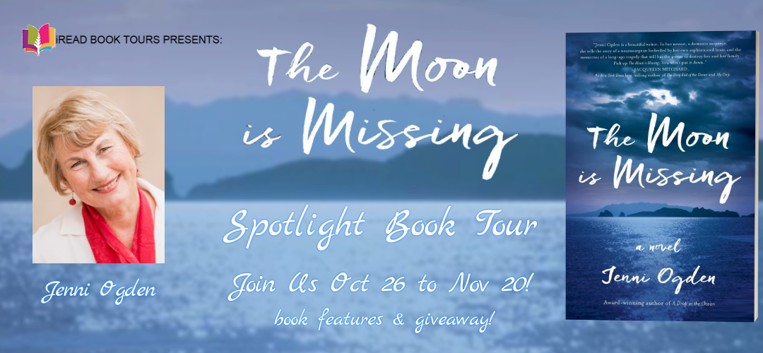 THE MOON IS MISSING by Jenni Ogden