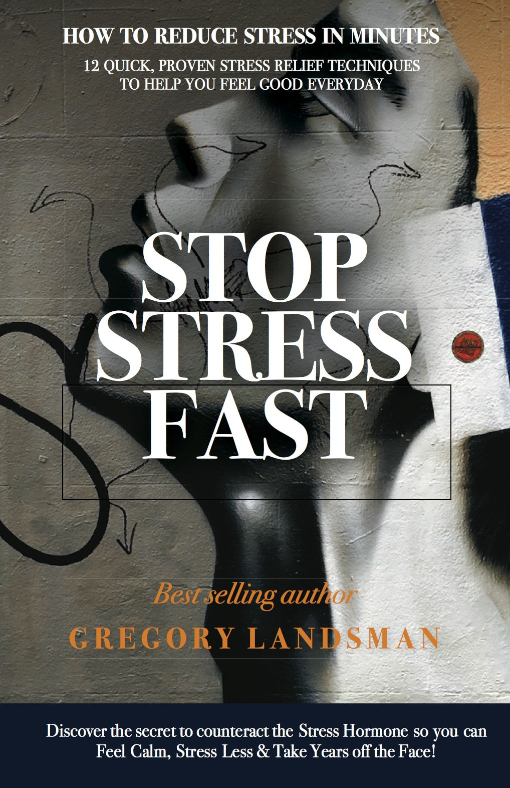 STOP STRESS FAST by Gregory Landsman