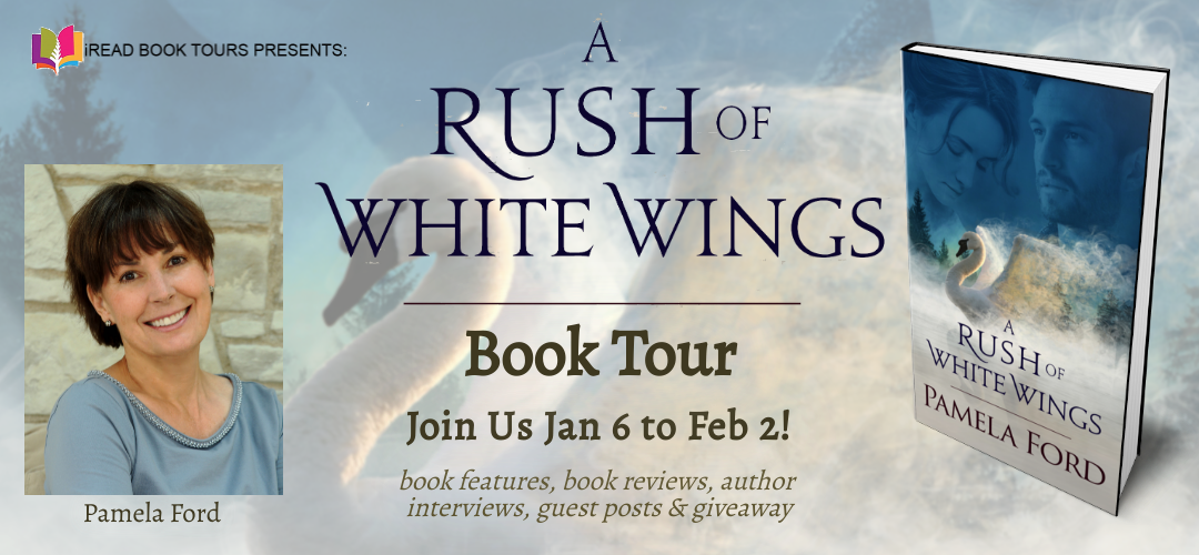 A RUSH OF WHITE WINGS: An Irish Historical Love Story by Pamela Ford