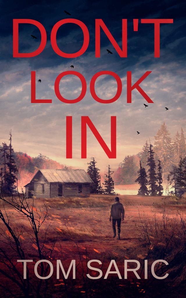 DON'T LOOK IN by Tom Saric