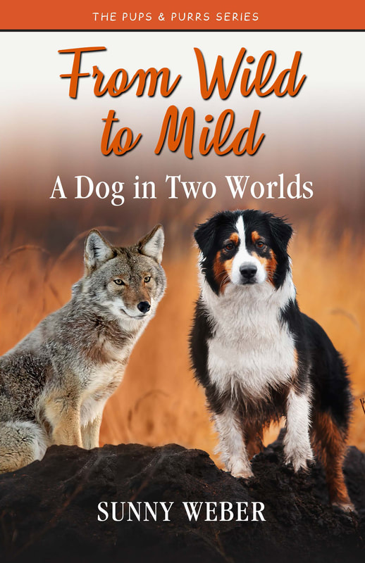 FROM WILD TO MILD by Sunny Weber