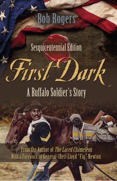 First Dark: A Buffalo Solder's Story by Bob Rogers