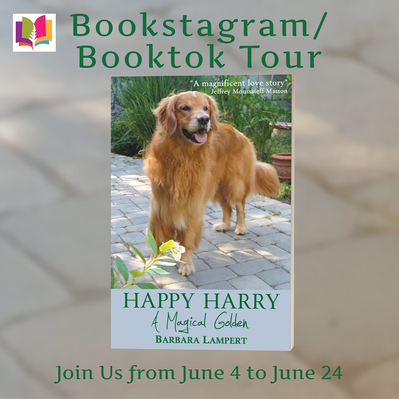 Happy Harry: A Magical Golden by Barbara Lampert