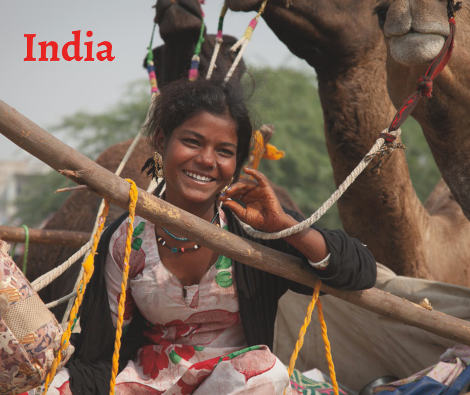 India by Debra Schoenberger