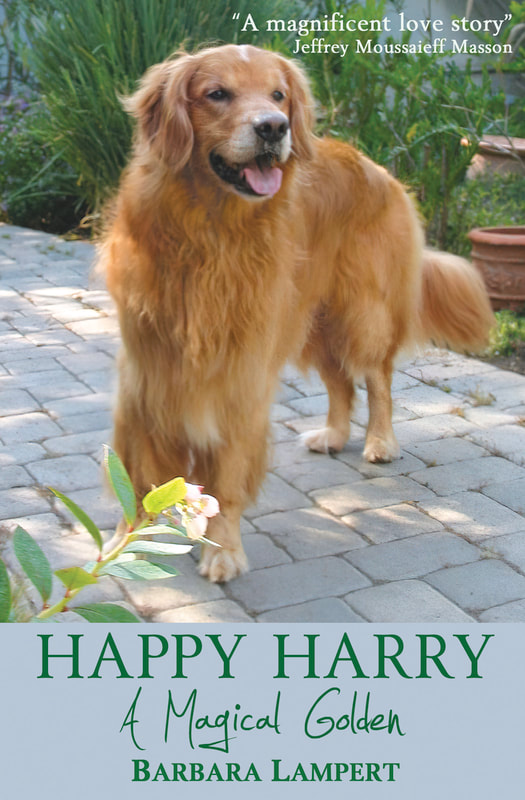 HAPY HARRY A MAGICAL GOLDEN by Barbara Lampert