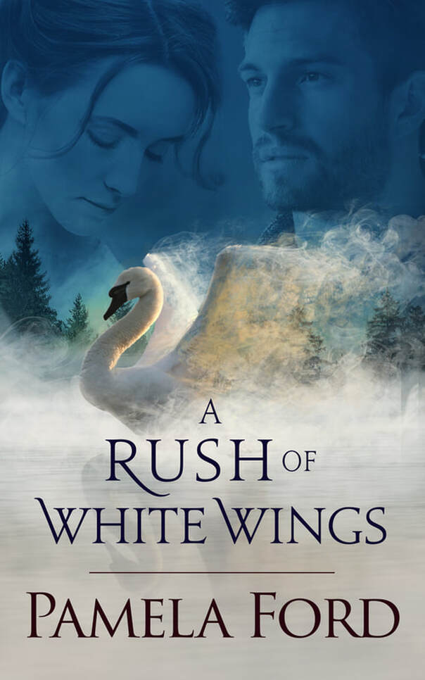 A RUSH OF WHITE WINGS: An Irish Historical Love Story by Pamela Ford