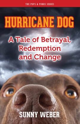 Hurricane Dog by Sunny Weber