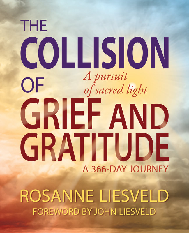 The Collision of Grief and Gratitude by Rosanne Liesveld