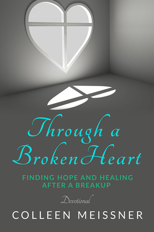 Through a Broken Heart by Colleen Meissner