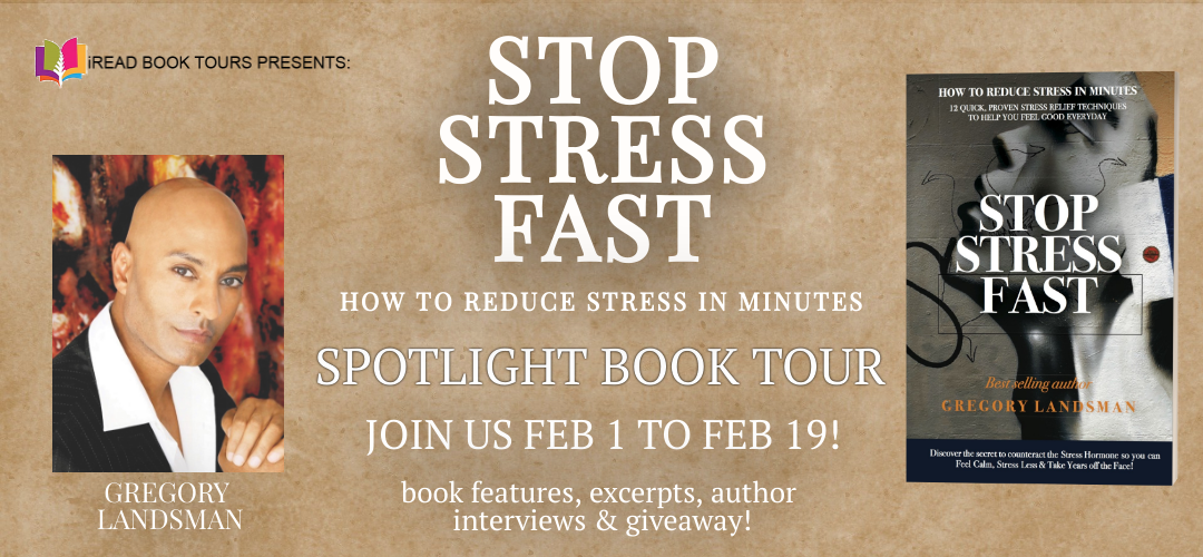 STOP STRESS FAST by Gregory Landsman